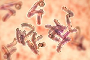 Khuẩn Vibrio là nguyên nhân gây ra Hội chứng chết sớm EMS trên tôm