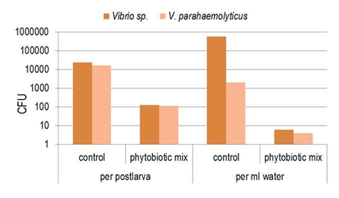 Giảm tải lượng Vibrio bằng cách sử dụng các chiết xuất thực vật trong quá trình vận chuyển