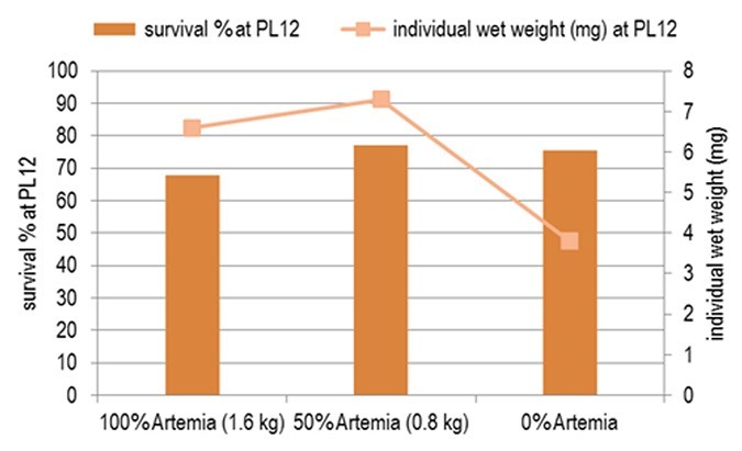 Sự cân bằng tốt nhất giữa thức ăn tổng hợp và Artemia