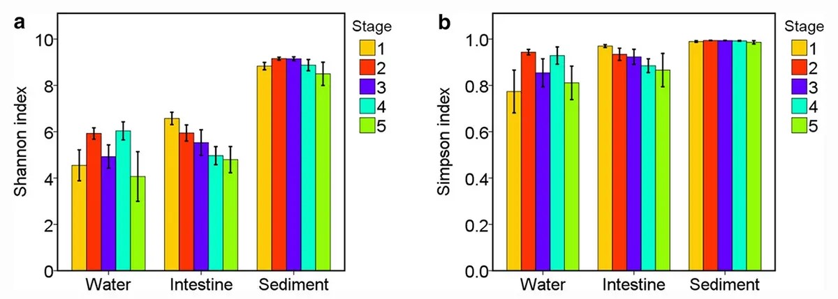 So sánh sự đa dạng về môi trường sống giữa ba nơi - nước ao và trầm tích và ruột tôm - với hai chỉ số đa dạng sinh thái thường được sử dụng