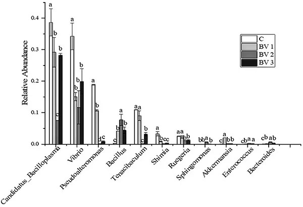 Sự phong phú tương đối của 10 vi khuẩn hàng đầu trong hệ vi sinh đường ruột của tôm L. vannamei
