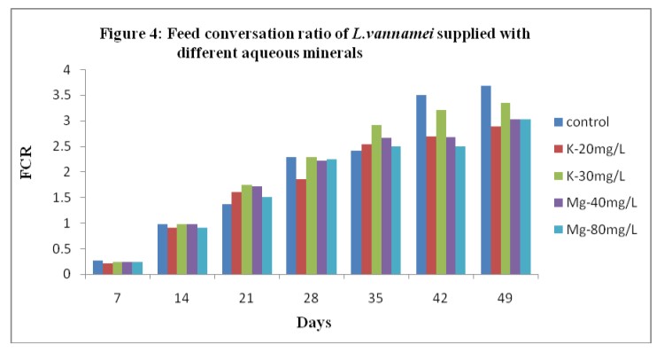 Hệ số chuyển đổi thức ăn của tôm L.vannamei khi được bổ sung các khoáng chất khác nhau vào nước