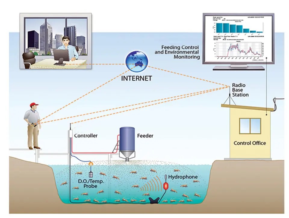 Hydrophone và các dữ liệu dưới nước sẽ được gửi không dây tới một máy tính trong văn phòng