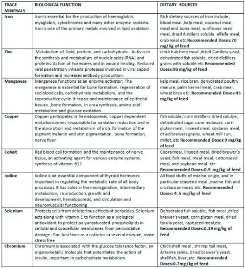 importance-optimisation-of-trace-minerals-in-shrimp-fish-nutrition-for