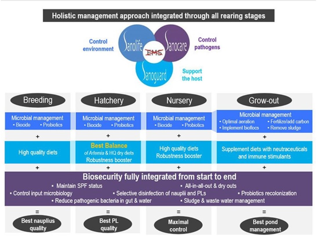 Holistic management approach integrated at all rearing stages