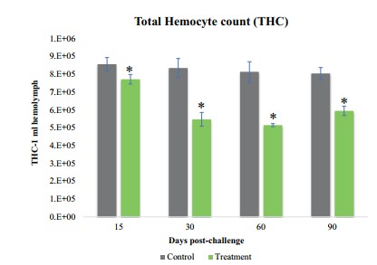 Tổng số hemocyte của tôm ở nhóm đối chứng và nhóm cảm nhiễm EHP