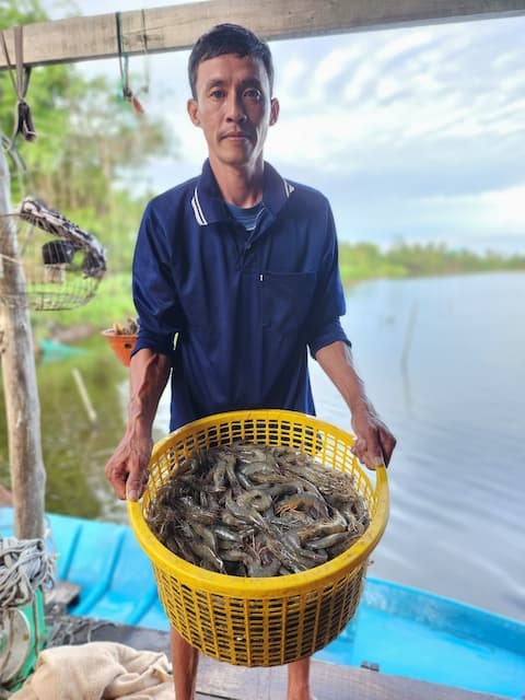 Anh Nghệ thu hoạch tôm