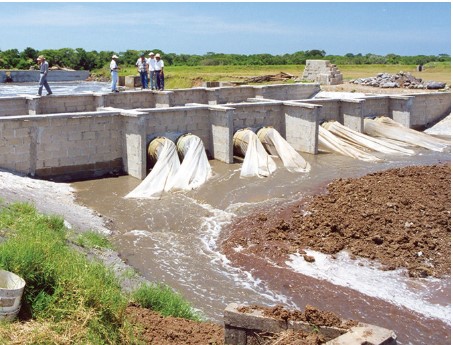 Vibrio control in shrimp farming: Part 2 Successful Vibrio control strategies must revolve around limiting inputs, including those that come in with the water. Proper pond preparation is essential, as well.