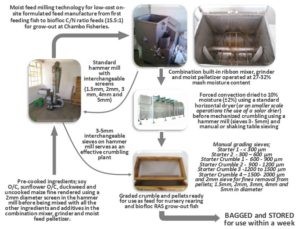 Tối Ưu Hóa Hệ Thống Công Nghệ Biofloc Nuôi Cá Rô Phi, Phần 2 Hình 2: Công nghệ nghiền ướt tại chỗ, chi phí thấp của SAFF.