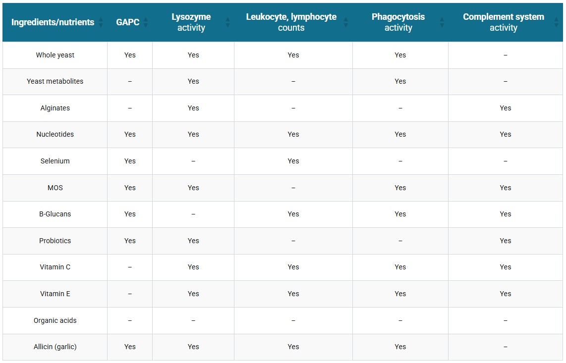 Advances in tilapia nutrition, part 2 Table 7. Stimulatory effects of some ingredients, nutrients or substances on fish immune mechanisms and responses. Globulin and albumin plasma concentration (GAPC); Lysozime activity; Leukocyte and lymphocyte counts; Phagocytosis activity; Complement system activity; Reactive Oxygenated Substances – ROS; antioxidant action; resistance to specific pathogens (RSPs); improved gut flora and gut morphology and health). Information compiled by the author after a comprehensive review of numerous scientific studies.