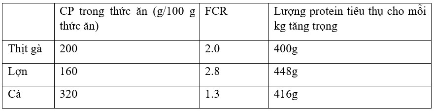 Tiến Bộ Trong Dinh Dưỡng Cá Rô Phi, Phần 1 Bảng 1. Lượng protein thô tiêu thụ (CP) trên một kilôgam tăng trọng ở cá, gà và lợn.