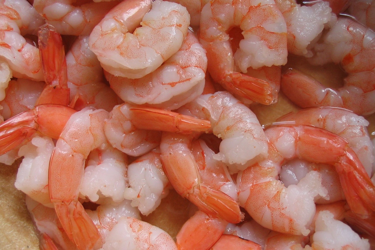 Enhancing growth and carotenoid accumulation in Pacific white shrimp through dietary supplementation Study evaluated the effect on growth and carotenoid deposition in Pacific white shrimp through dietary supplementation. Results show that all five dietary supplements tested enhanced the growth performance of shrimp, and that targeted carotenoid deposition through specific algal species or carotenoid compounds can effectively improve shrimp pigmentation. Results also provide support for the development of functional feeds to improve shrimp commercial quality. Photo by Darryl Jory.