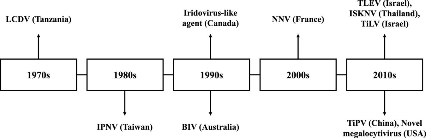 Prevention and control strategies for viral infections in farmed tilapia Fig. 1: Timeline of the first reported cases of viral infections and the respective occurrence of incidence in tilapia.