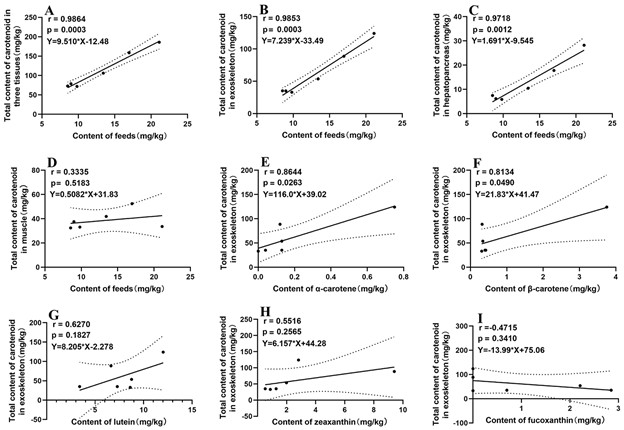 Enhancing growth and carotenoid accumulation in Pacific white shrimp through dietary supplementation Fig. 1: Pearson correlation analysis of the carotenoid contents between feeds and P. vannamei. The correlation between the total content of carotenoids in the three tissues and feeds (A); the correlation between the total content of carotenoids in the exoskeleton (B), hepatopancreas (C), muscle (D), and the content of the feeds, respectively. The correlation between the total content of carotenoids in the exoskeleton and the content of α-carotenoid (E), β-carotene (F), lutein (G), zeaxanthin (H), and fucoxanthin (I) in the feeds, respectively. Adapted from the original.