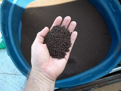Advances in tilapia nutrition, part 1 When tilapia feeds with high protein levels are needed, larger quantities of high protein animal meals – including bloodmeal (pictured here) are used.