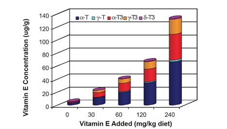 Hình 2: Nồng độ vitamin E trong mô mỡ của cá rô phi lai đỏ được cho ăn khẩu phần ăn bổ sung vitamin E có nguồn gốc từ dầu cọ.