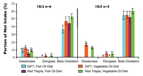 Cá Rô Phi Nuôi Là Nguồn Cung Cấp Axit Béo Omega Chuỗi Dài Hình 1: Quá trình mất bão hòa, kéo dài chuỗi và beta-oxy hóa của 18:2 n-6 và 18:3 n-3 trong cơ thể cá rô phi thể hiện rõ rệt khi được cho ăn khẩu phần chứa dầu cá hoặc hỗn hợp dầu thực vật trong 14 tuần. Các chữ cái khác nhau biểu thị sự khác biệt có ý nghĩa thống kê.