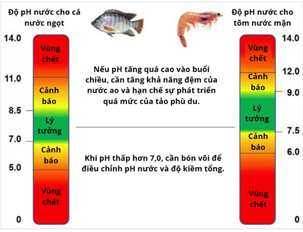 Thông Số Chất Lượng Nước Thường Bị Bỏ Qua: pH Hình 1: Hướng dẫn theo dõi pH cho cá nước ngọt và tôm biển nuôi. Khoảng "Cảnh báo" cho biết các tác động có hại tiềm ẩn đến sự tăng trưởng, hệ số chuyển đổi thức ăn (FCR), khả năng miễn dịch và tỷ lệ sống của vật nuôi. Người nuôi trồng thủy sản nên thường xuyên theo dõi pH nước trong ao nuôi.