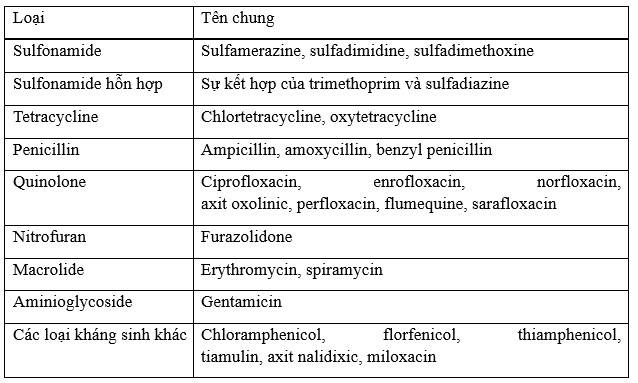 Bảng 1. Thuốc kháng sinh có khả năng được sử dụng trong các cơ sở nuôi trồng thủy sản.