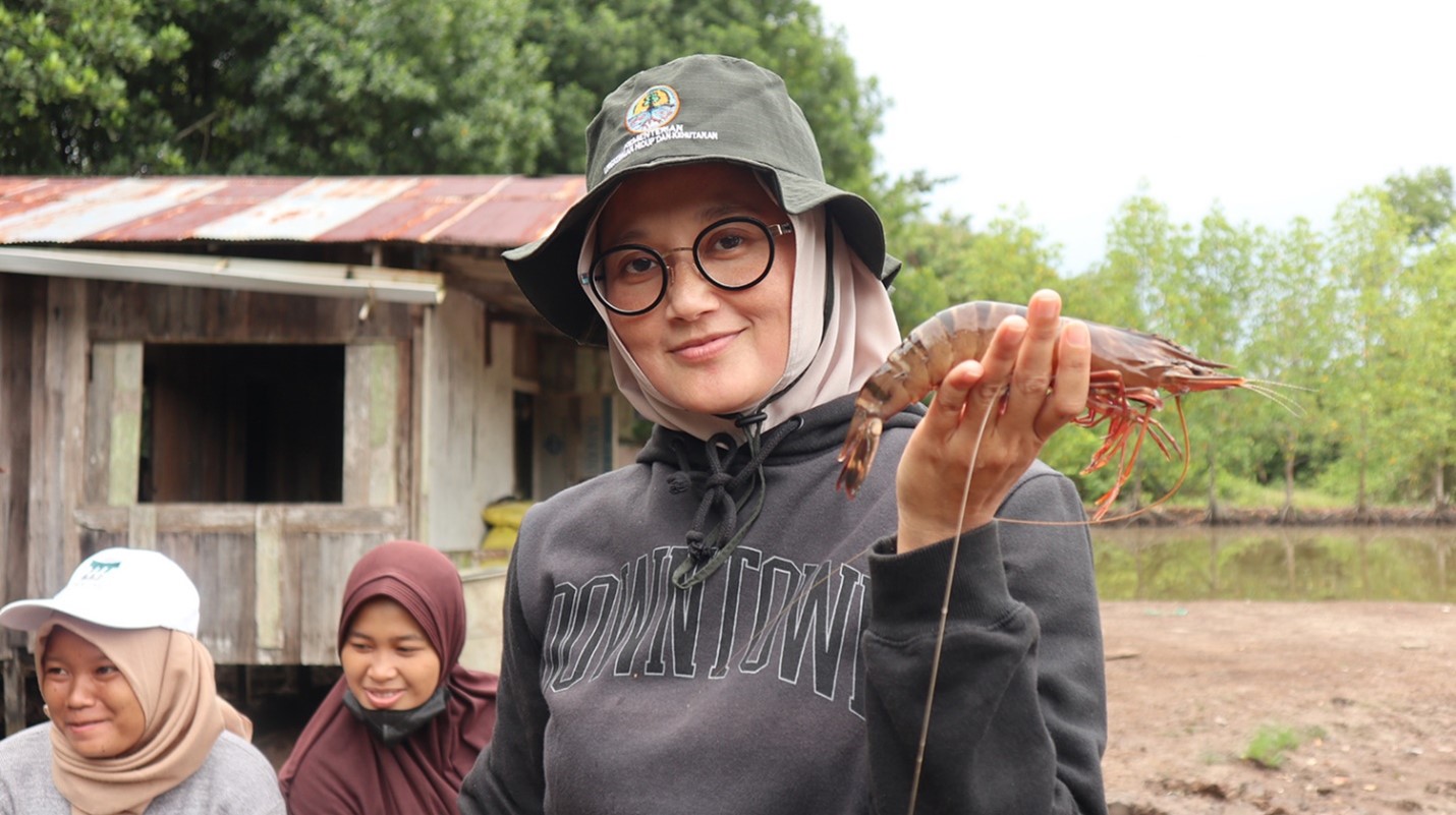 Pilot programs are underway in Ecuador and Indonesia, where farmers receive financing and technical expertise to restore mangroves and responsibly intensify production, producing more shrimp, increasing profits, and providing ecosystem services. Photo courtesy of Esti Hardi.