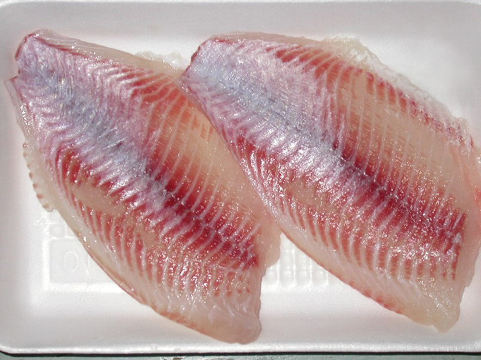 Palm oil replaces fish oil in tilapia feed Fillets from tilapia fed palm oil-based diets show greater oxidative stability during frozen storage, which translates to longer shelf life.