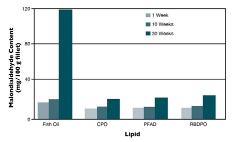 Palm oil replaces fish oil in tilapia feed Fig. 1: Lipid peroxidation product after frozen storage in fillets of tilapia fed various dietary lipid sources.