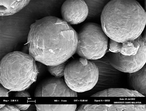 Ảnh chụp bằng kính hiển vi điện tử quét của hỗn hợp axit hữu cơ được vi nang hóa được sản xuất bằng công nghệ phun lạnh ly tâm của Sunzen Feedtech Pte. Ltd. (Malaysia).
