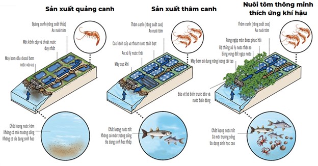 Đồ họa được cung cấp bởi Tổ chức bảo tồn quốc tế.