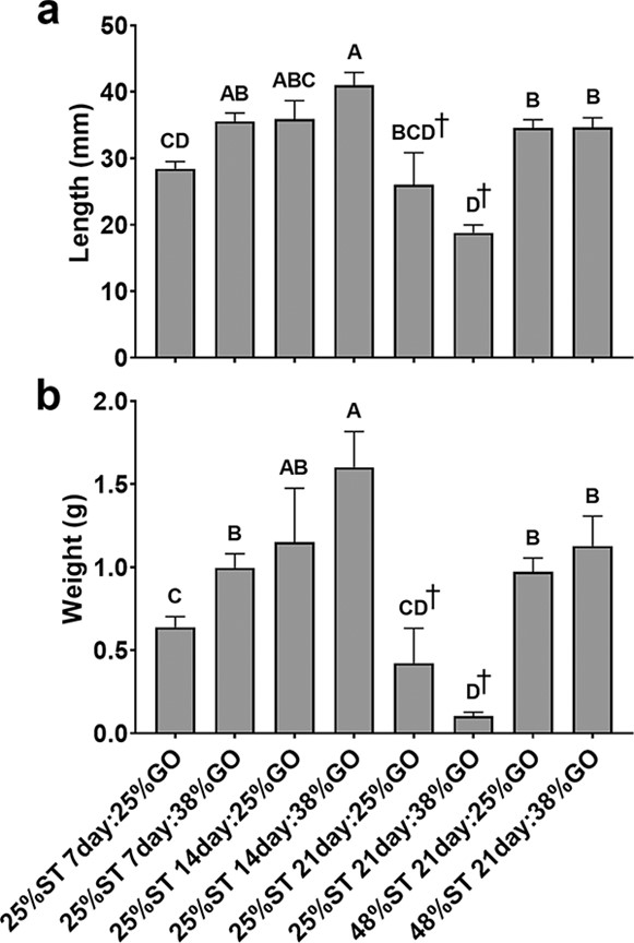 Fig. 2: Final lengths (a) and weights (b) of Nile tilapia (O. niloticus) fry fed control and restricted protein diets after 56 days of culture. Data represented are means ± SEM. Labels indicate the number of days on the initial 25 or 48 percent starter (ST) protein diet followed by the grow-out (GO) diet containing 25 or 38 percent crude protein. Different letters indicate statistical significance in length and weight (one-way ANOVA; P < 0.05). †Reflects mean values after 35 days of culture due to low survival in fish fed the 25 percent protein starter diet for 21 days.