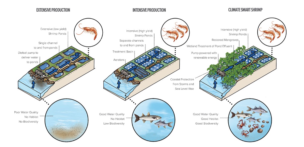 Graphic courtesy of Conservation International.