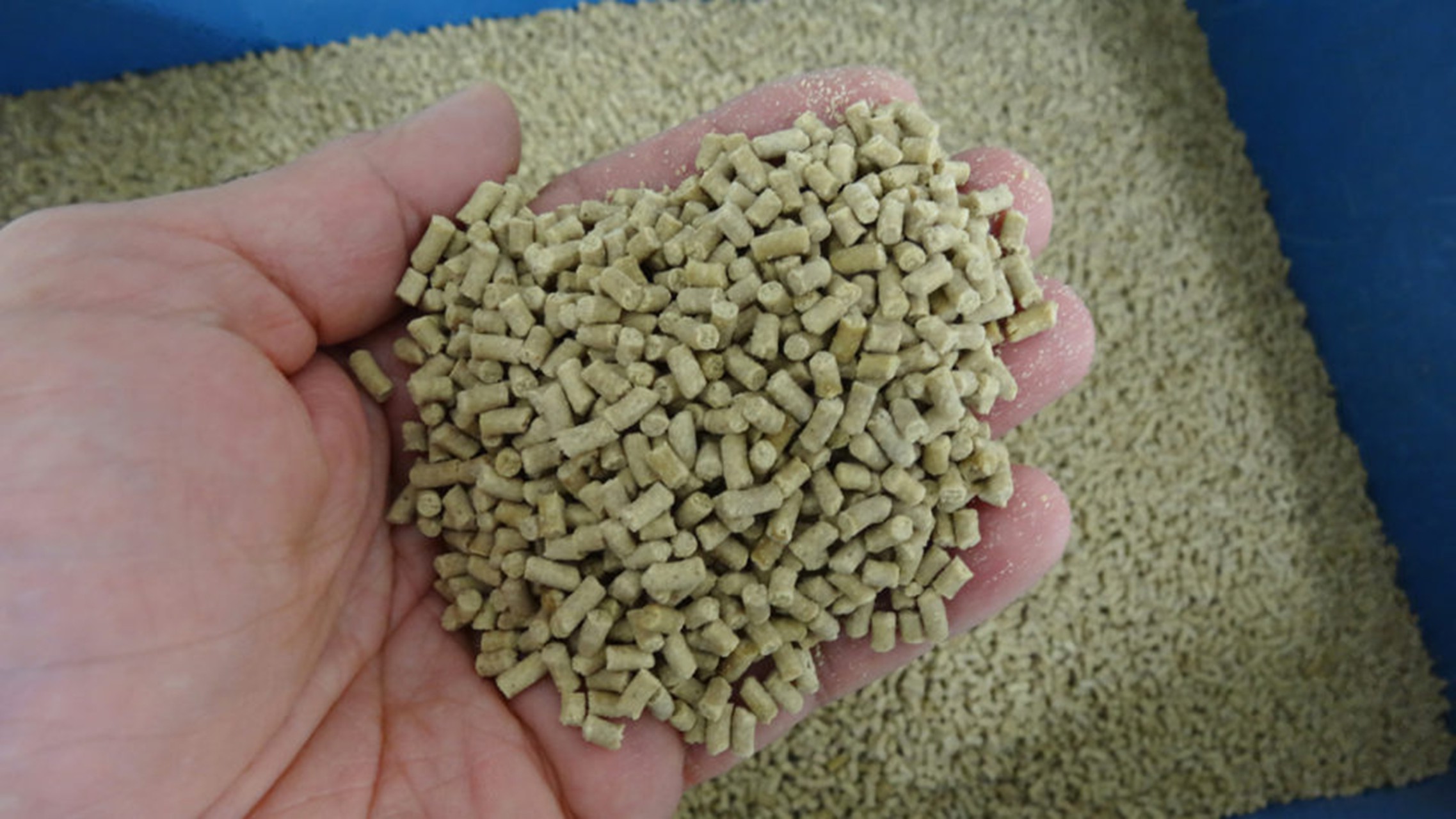  Thức ăn cho tôm và AA tổng hợp, L-Lysine và DL-Methionine.