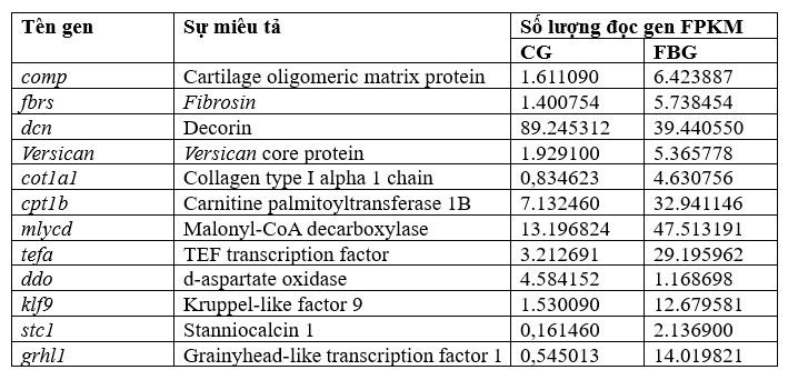 Bảng 7. Mười hai gen điển hình biểu hiện khác biệt giữa nhóm đối chứng và nhóm ăn đậu răng ngựa.