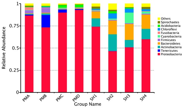 Hình 1: Biểu đồ tần suất xuất hiện tương đối của 10 loài đứng đầu ở cấp độ ngành.