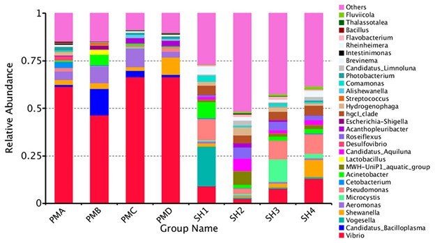 Hình 2: Biểu đồ tần suất xuất hiện tương đối của 30 loài hàng đầu ở cấp độ chi.