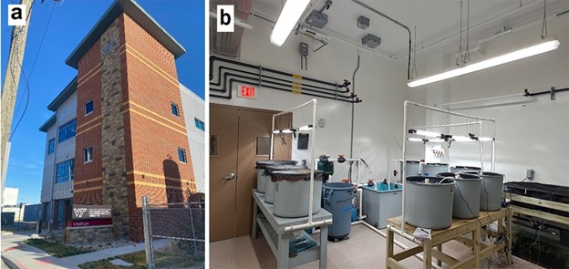 Hình 1. Hình ảnh bên ngoài tòa nhà VSAREC (a) và các bể thí nghiệm được sử dụng để nuôi siêu thâm canh tôm thẻ chân trắng Penaeus vannamei trong hệ thống RAS, BFT và synbiotic có độ mặn thấp (b). Nguồn: Dariano Krummenauer (a) và Otávio Augusto LF Pimentel (b).