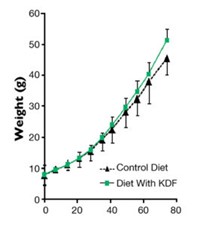 Hình 1: Sự tăng trưởng của cá rô phi được cho ăn khẩu phần đối chứng và khẩu phần bổ sung KDF.