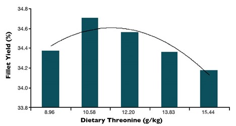 Hình 2: Tỷ lệ phi lê cá rô phi được cho ăn các mức độ threonine khác nhau.