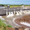 Để kiểm soát hiệu quả vi khuẩn Vibrio trong nuôi trồng thủy sản, bà con cần tập trung vào việc hạn chế các yếu tố đầu vào, đặc biệt là các yếu tố liên quan đến chất lượng nguồn nước. Khâu chuẩn bị ao nuôi đúng kỹ thuật cũng đóng vai trò vô cùng quan trọng.