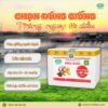 tom the gia hoa binh minh do man 5 phan ngan 3