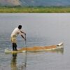 Nghiên cứu này đánh giá tác động của các chiến lược giảm cho ăn đối với cá rô phi sông Nile nuôi trong ao. Kết quả cho thấy hiệu quả thức ăn và lợi nhuận ròng được cải thiện mà không ảnh hưởng tiêu cực đến sự tăng trưởng, tỷ lệ sống hoặc sản lượng của cá so với chế độ cho ăn hàng ngày. Ảnh: Darryl Jory.