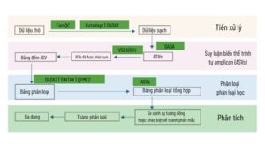 HÌNH 3: Quy trình phân tích tin sinh học.
