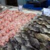 Cá điêu hồng (cá rô phi đỏ) tươi ướp lạnh được bán với giá cao hơn 40% so với cá rô phi đen có cùng kích thước tại một siêu thị ở Malaysia.