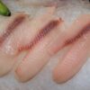 Nghiên cứu này đã đánh giá hàm lượng của 13 khoáng chất quan trọng trong các mẫu phi lê cá rô phi thương mại và xác định những lợi ích hoặc rủi ro tiềm ẩn đối với sức khỏe người tiêu dùng. Ảnh của Darryl Jory.