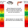 Hình 1: Hướng dẫn theo dõi pH cho cá nước ngọt và tôm biển nuôi. Khoảng "Cảnh báo" cho biết các tác động có hại tiềm ẩn đến sự tăng trưởng, hệ số chuyển đổi thức ăn (FCR), khả năng miễn dịch và tỷ lệ sống của vật nuôi. Người nuôi trồng thủy sản nên thường xuyên theo dõi pH nước trong ao nuôi.