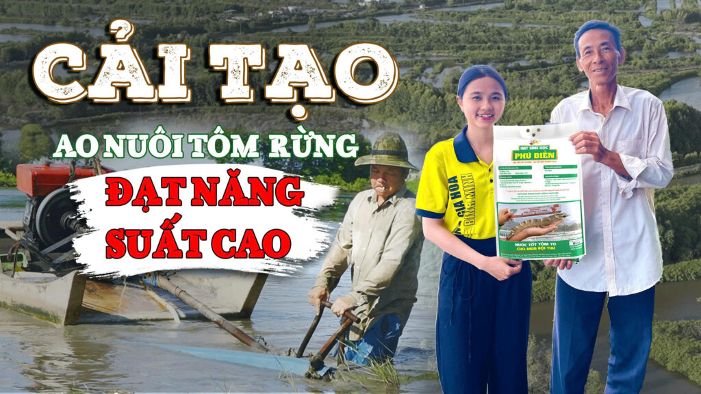Cải tạo ao nuôi tôm rừng