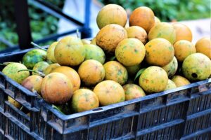 Nghiên cứu này được thực hiện nhằm đánh giá ảnh hưởng của bột vỏ chanh dây trong khẩu phần ăn của cá rô phi nuôi trong hệ thống biofloc. Kết quả cho thấy, cá được cho ăn các khẩu phần bổ sung bột vỏ chanh dây với liều lượng từ 10–80 g/kg thức ăn có mức biểu hiện gen liên quan đến miễn dịch và chống oxy hóa tăng lên đáng kể. Điều này chứng tỏ bột vỏ chanh dây có khả năng kích thích hệ miễn dịch và tăng cường năng lực chống oxy hóa của cá rô phi trong điều kiện nuôi biofloc. Ảnh của Sivahari, qua Wikimedia Commons.