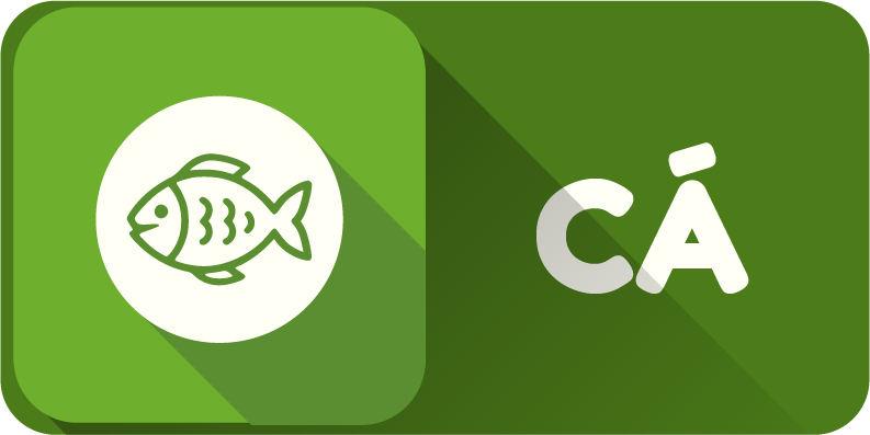 CA RO PHI BINH MINH 2