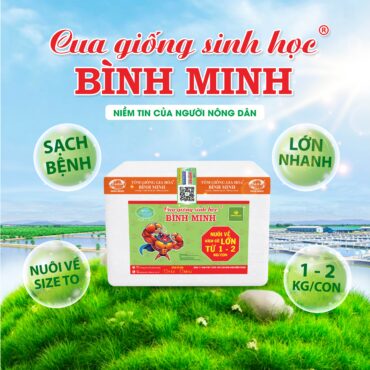 Cua Giống Sinh Học Bình Minh
