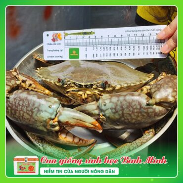 CUA SINH HOC BINH MINH 2