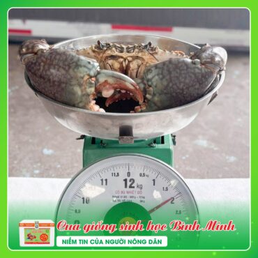 CUA SINH HOC BINH MINH 5